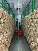 为精准招引玉商、玉工、玉侨带资金、带手艺、
